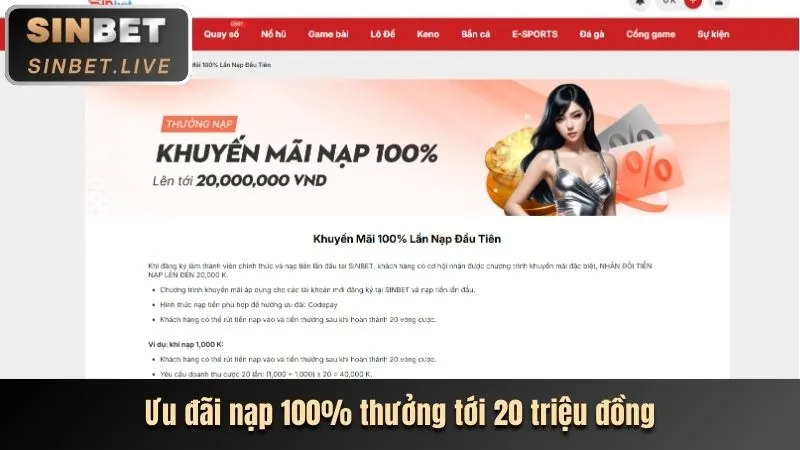 Hình ảnh tiền hoàn trả, biểu thị chương trình hoàn trả cược thể thao